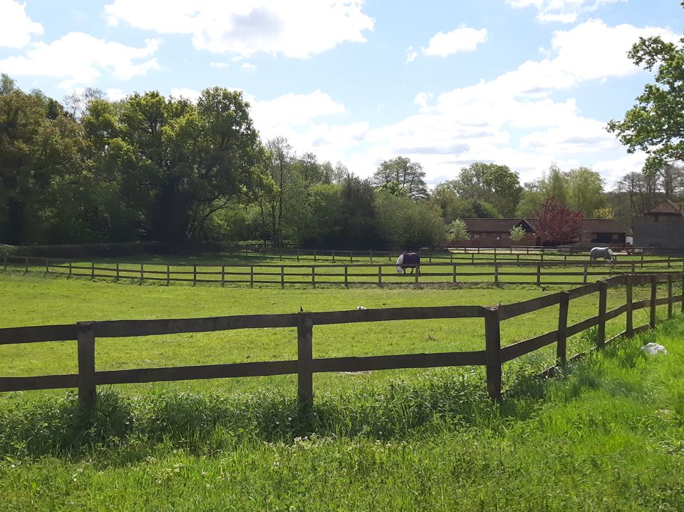 Fenced paddocks