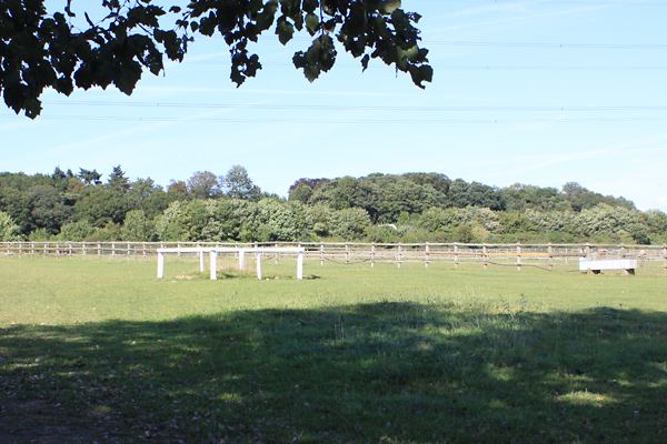 Field with jump