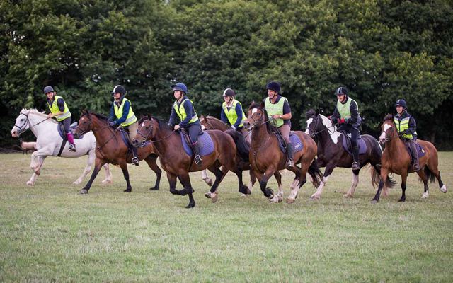 Group riding in field