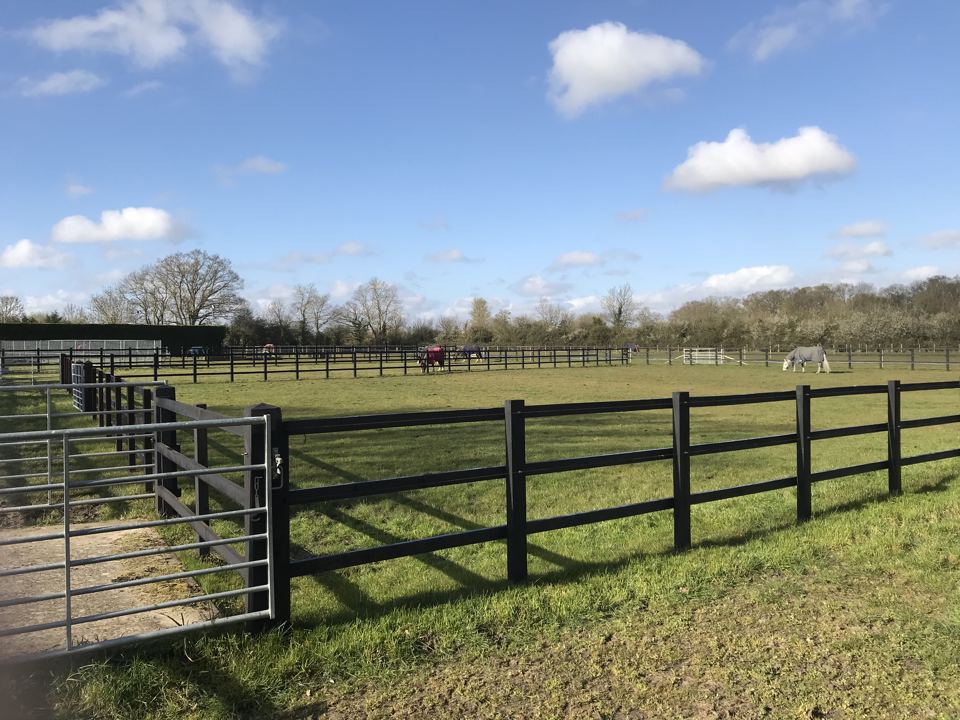 Fields and fencing