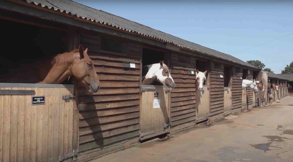 Row of stables