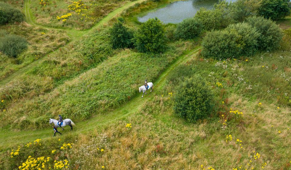 Aerial view of riding trails