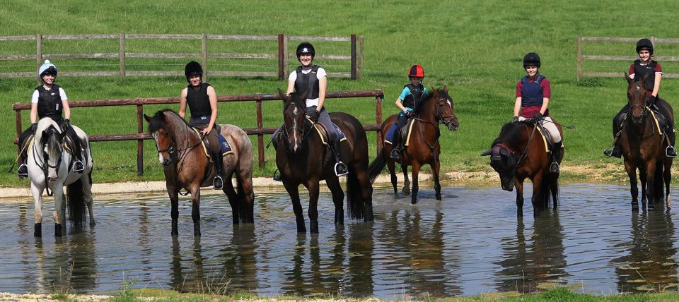 Riders with horses in field water