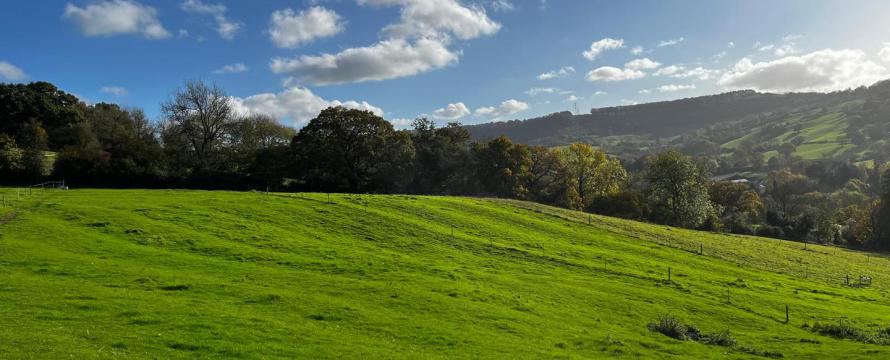 Fields and hills