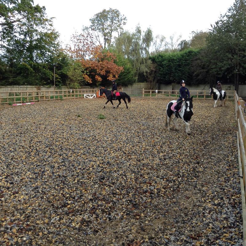 Arena with riders